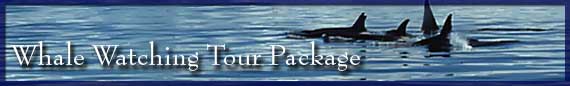 Whale Watching Tour